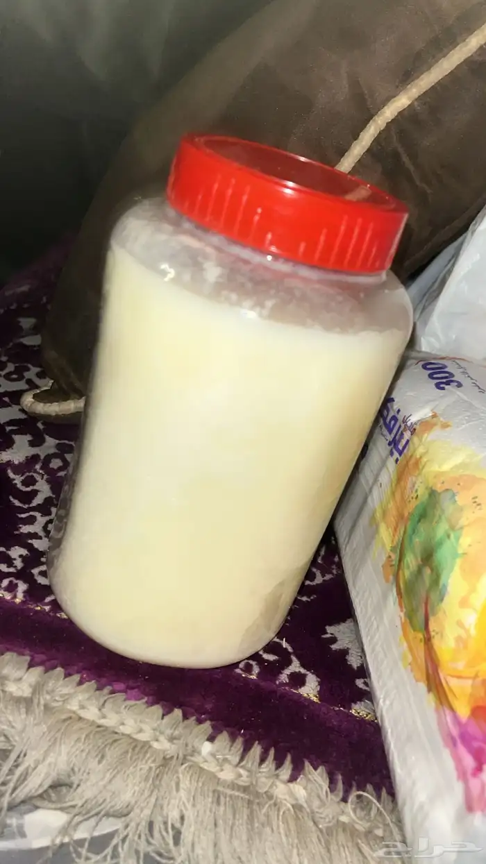 سمن غنم اصلي على الشرط لللبيع 1