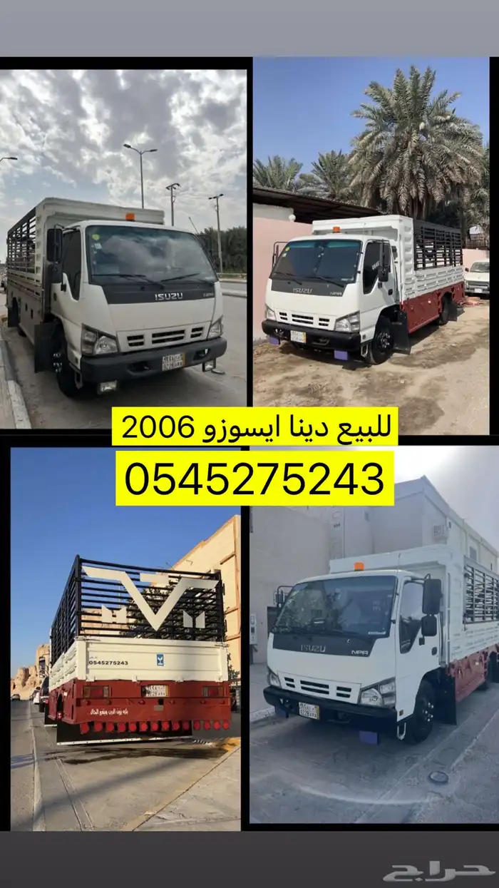 دينا 2006 0