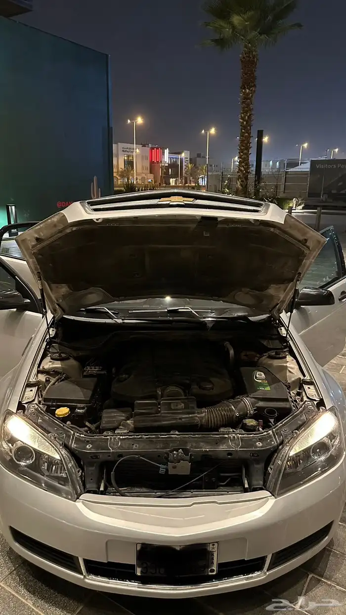 كابرس بلد LS 2013 24