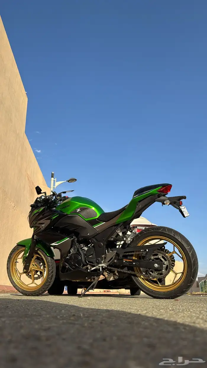 دباب كوزاكي Z300 ستريت فايتر 2017 2