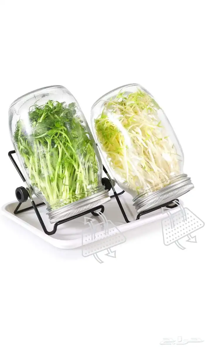 برطمانات ماسون لنمو البذور مع اغطية ستانلس ستيل 0