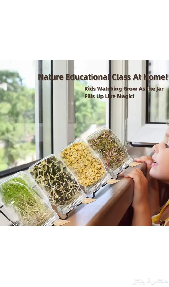 برطمانات ماسون لنمو البذور مع اغطية ستانلس ستيل 4