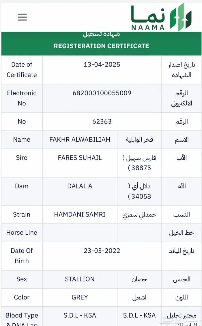حصان واهو 4