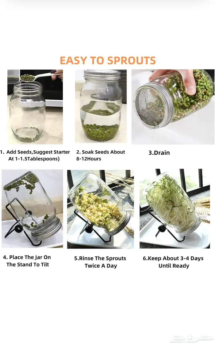برطمانات ماسون لنمو البذور مع اغطية ستانلس ستيل 3