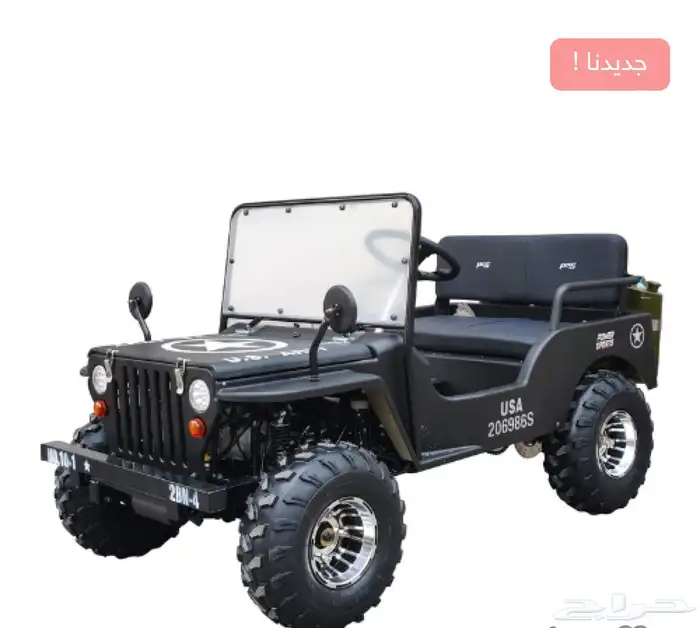 سيارة ميني جيب 4 عجلات 150CC التوصيل لجميع المناطق 5