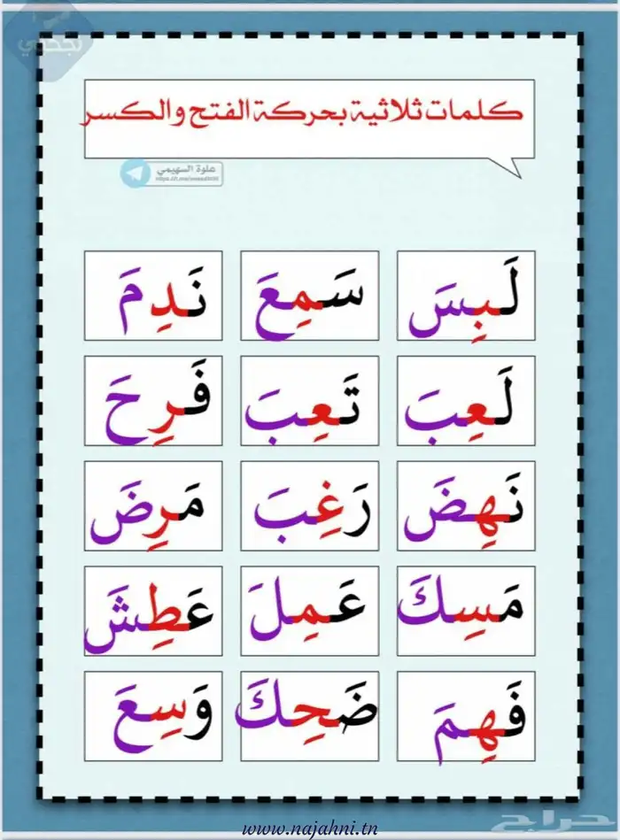 معلمة خصوصية عن بعد وعن قرب 11