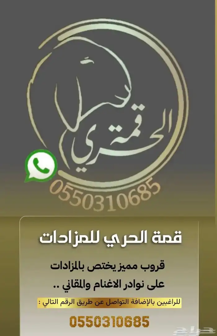 مزاد صنف الحري 3000 عضو 0