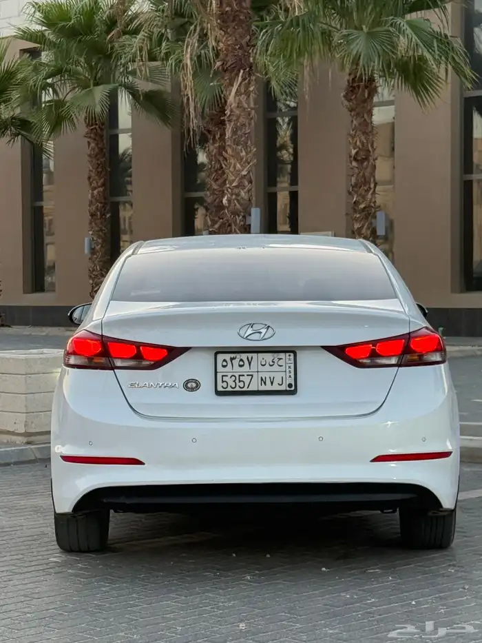 النترا 2016 13