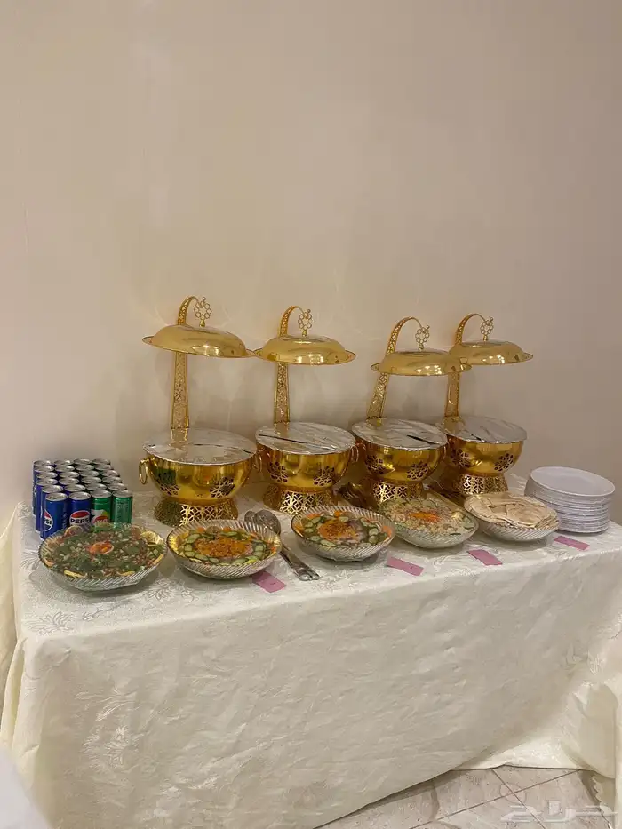 الدوادمي 13