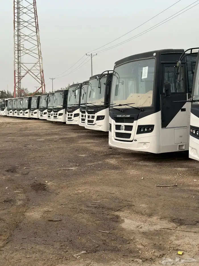 باصات وبيك أب للإيجار وللبيع bus for rent and sale 1