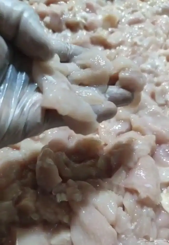 قطع صدور دجاج 1