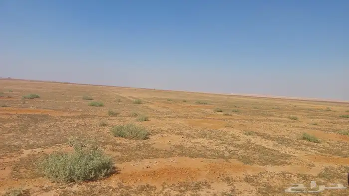 ارض زراعيه في الحماده بين شقراء و المجمعه المساحه 447 ألف 0