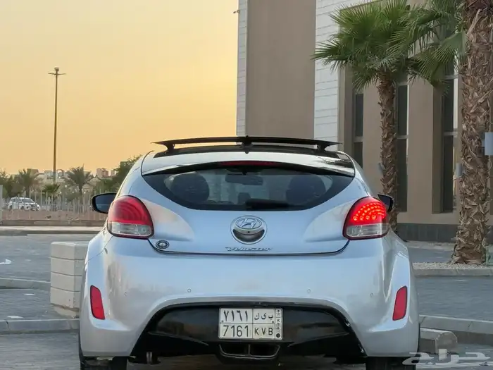 فيلوستر 2013 12
