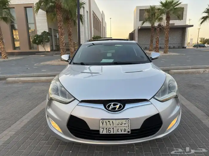 فيلوستر 2013 7