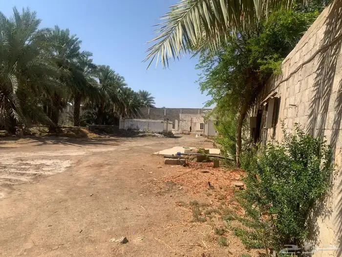 بمدينة رسولنا الأمين مزرعةجميلة للبيع مع إسطبل وبعدة مميزات 1