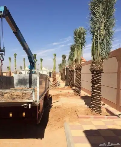 قسم النخيل والشجر ونباتات حديثة 0