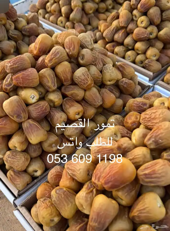 تمور القصيم شحن وتوصيل 9