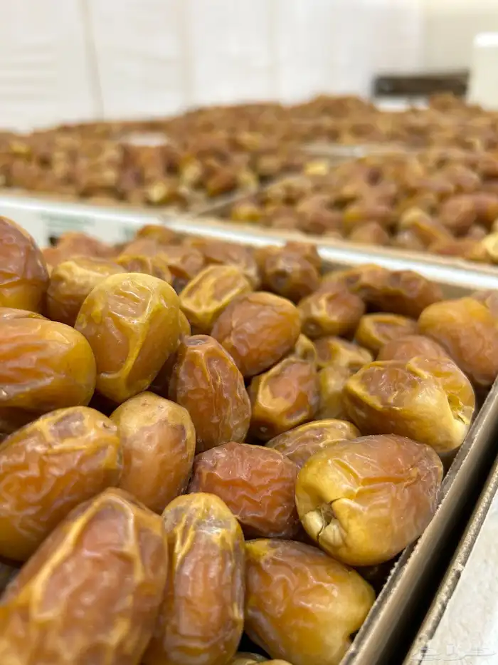 جلكسي فاخر حبة وسط 0