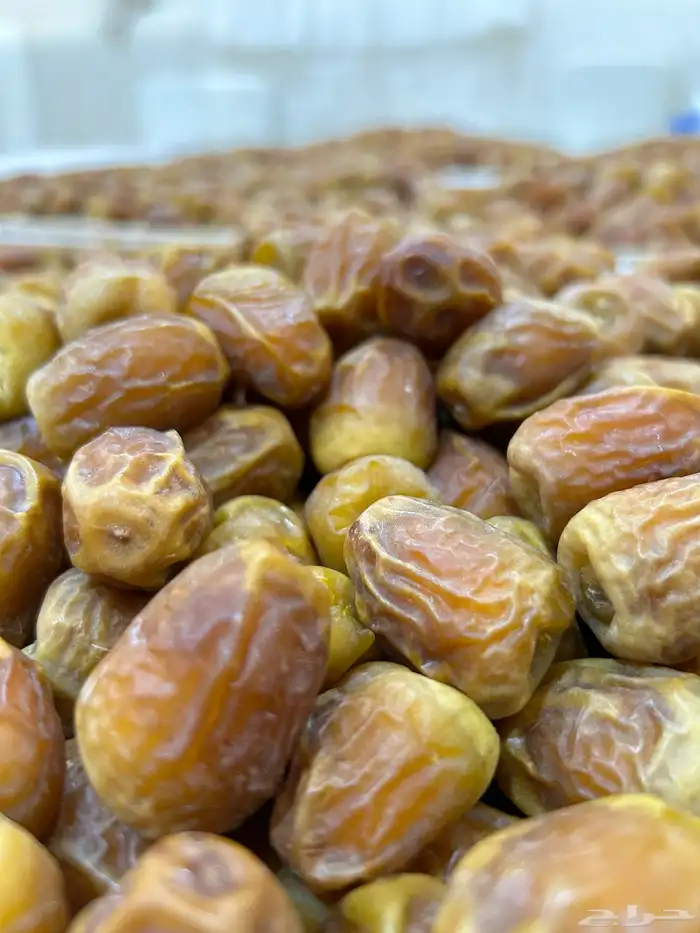 جلكسي فاخر حبة وسط 3