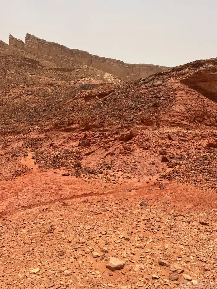 للبيع طين احمر بطحاء مسيل رمل ابيض صافي 2