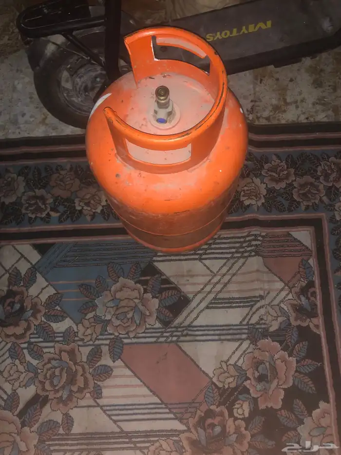 حي الباديه 0