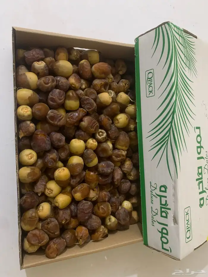 تمر للبيع خراف امس 0