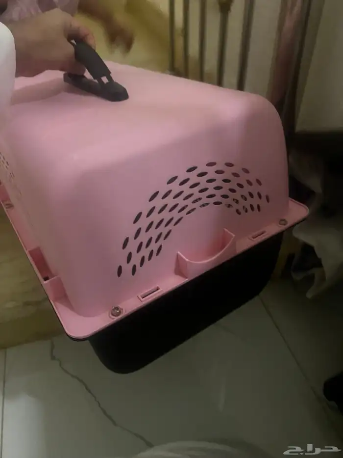 شبك قطط 0