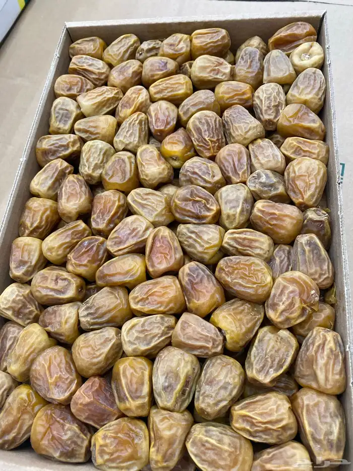تمر سكري طيب بالحيل 1