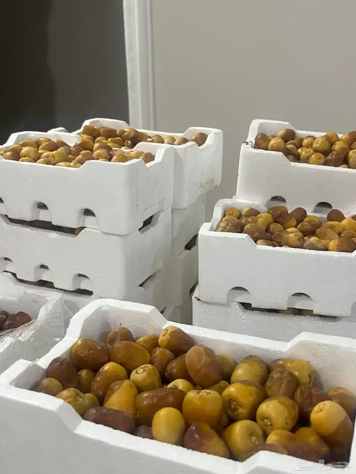 تمر رطب جمله 0