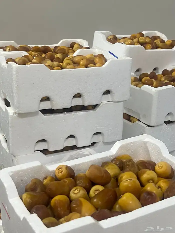 تمر رطب جمله 1