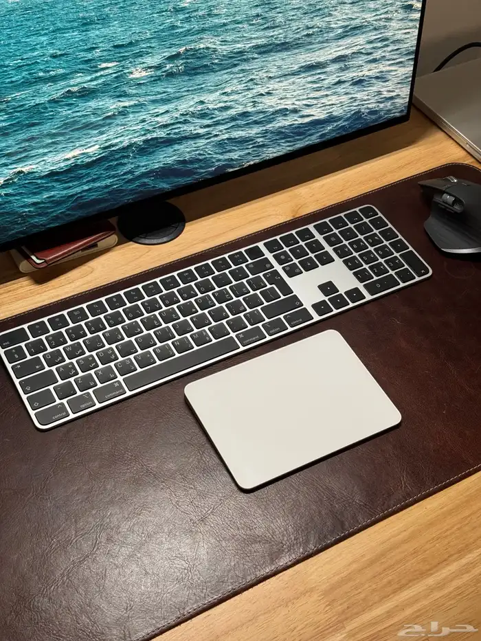 Apple Magic Trackpad (USB C) 0