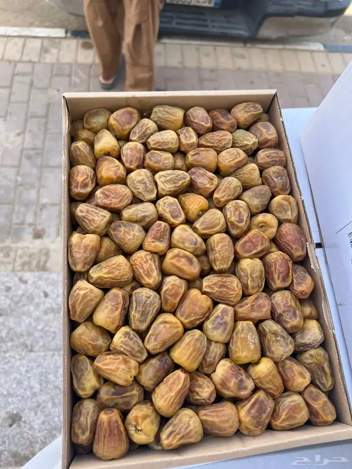 سكري مفتل وأنواع التمور تفريد -جمله. 0