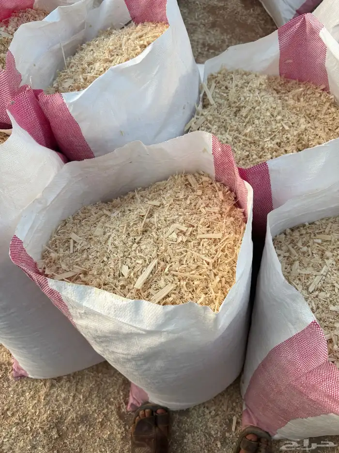 نشارة خشب 7