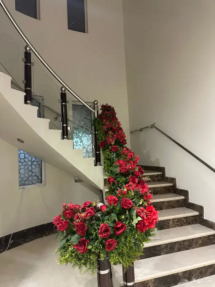 تنسيق شبكه 5