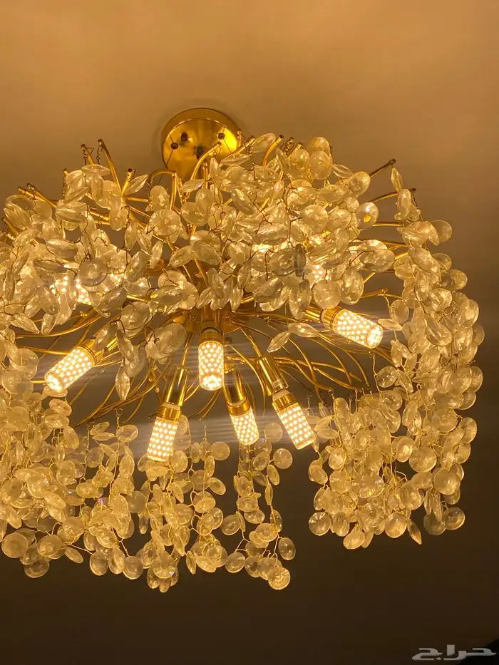 للبيع ابجورا جديده خذ له شهرين 2