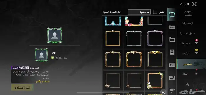 حساب ببجي مميز 12
