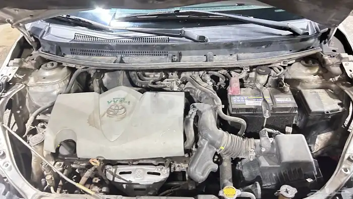 يارس 2019 بودي بلد 10