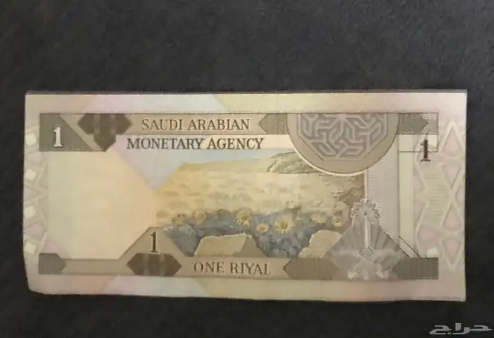 ريال الملك فهد رحمه الله سليمه يبدأ السوم على ميه 1
