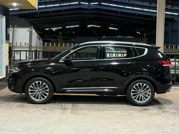 هافال 2020 - H6 5