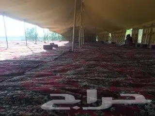 ابشر بي لضيافه قهوجين 7