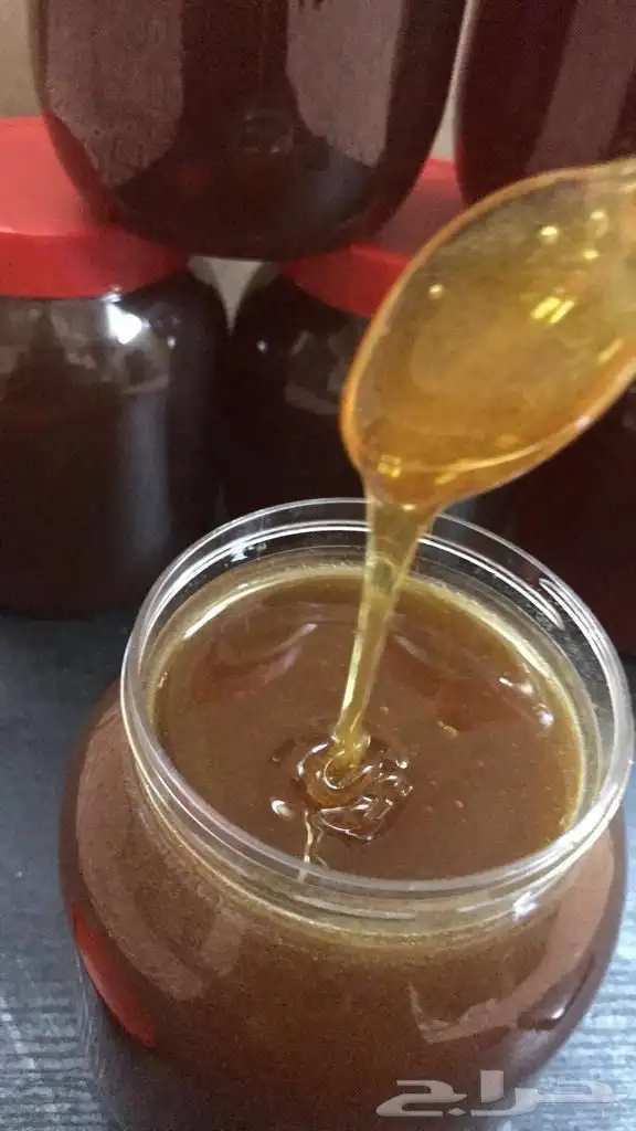 عسل سدر اصلي ومضمون 100 3