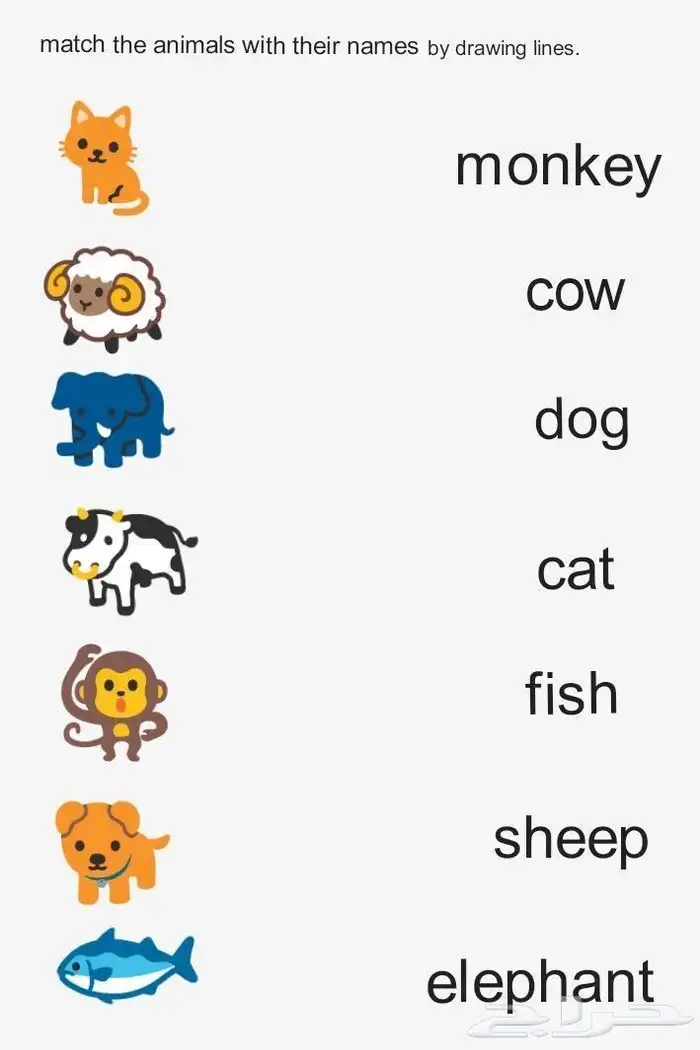 معلمة خصوصية عن بعد وعن قرب 7