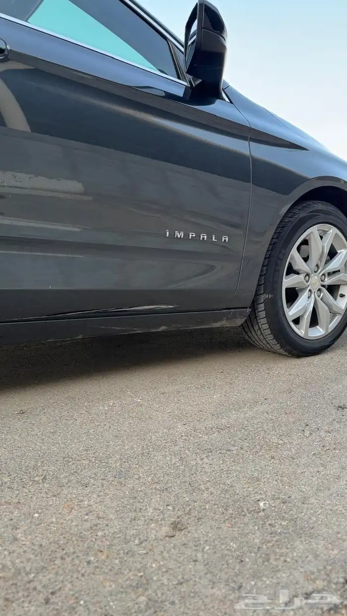 امبالا 2019 ستاندر 16