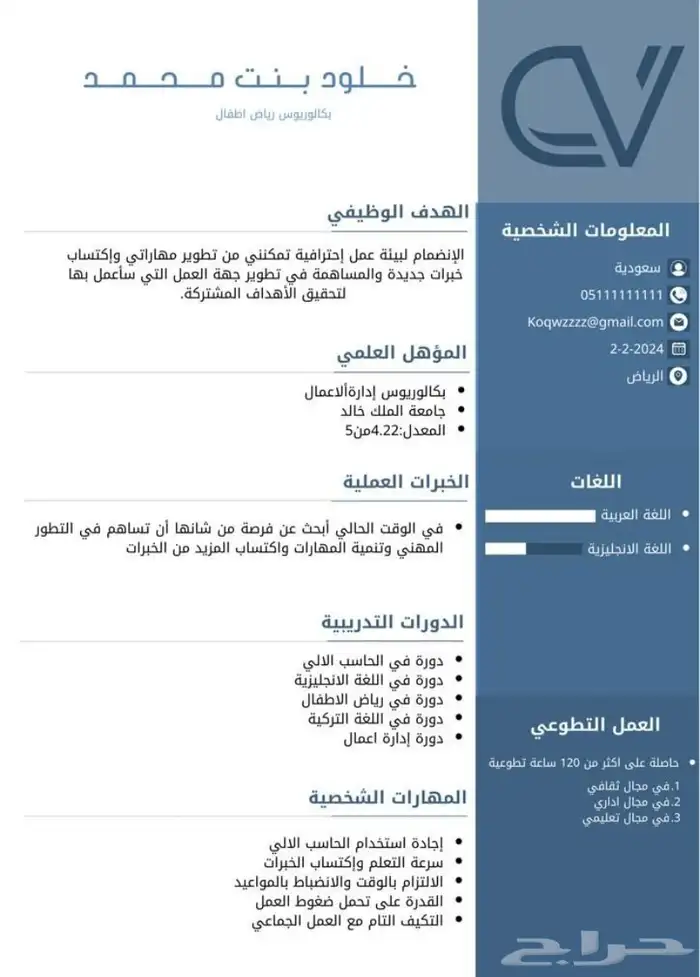 سيرة ذاتية منظمة واحترافية تبرز خبراتك ومهاراتك 1