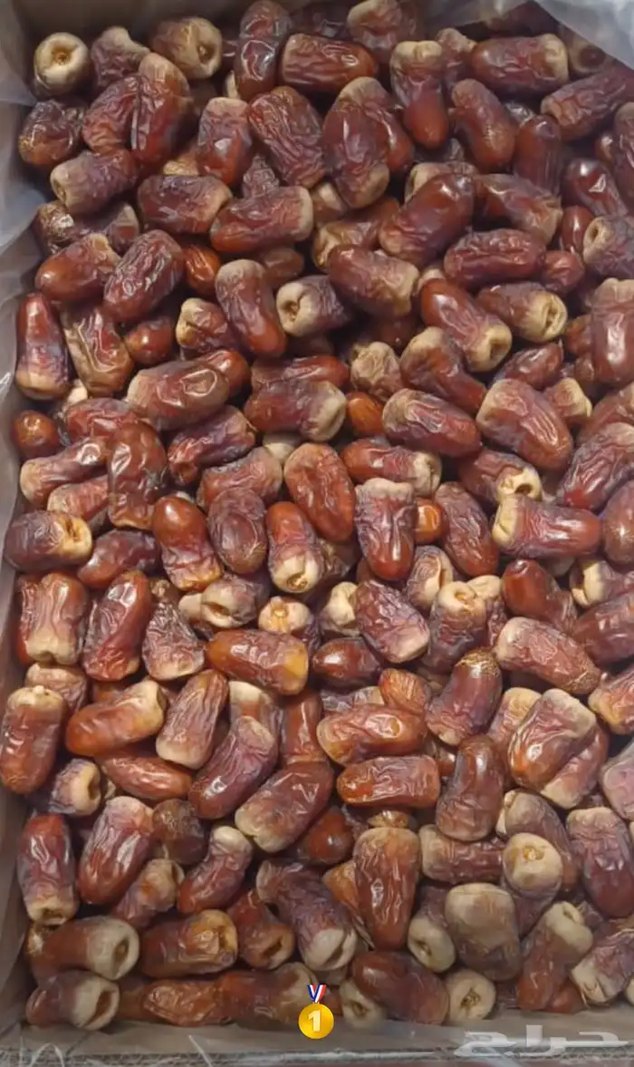 برني العيص ( الملكي رقم واحد 0