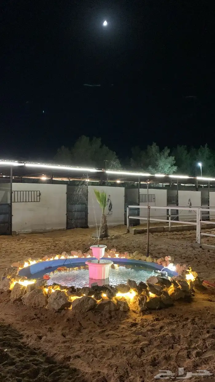 ايواء مربط النياف يرحب بكم عسف تدريب ركوب خيل 0