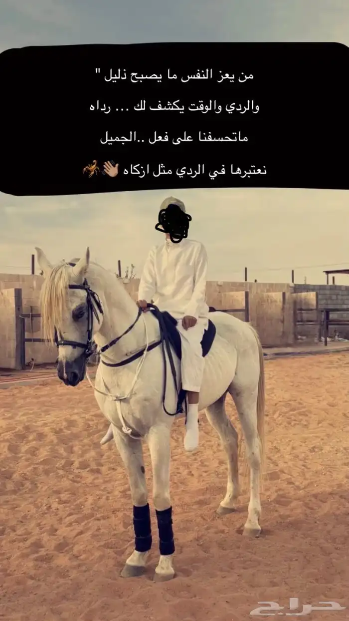 حصان شعبي 6