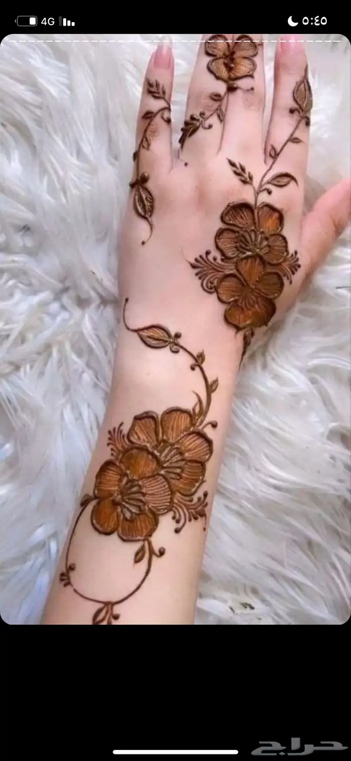 نقاشة بيشة 23