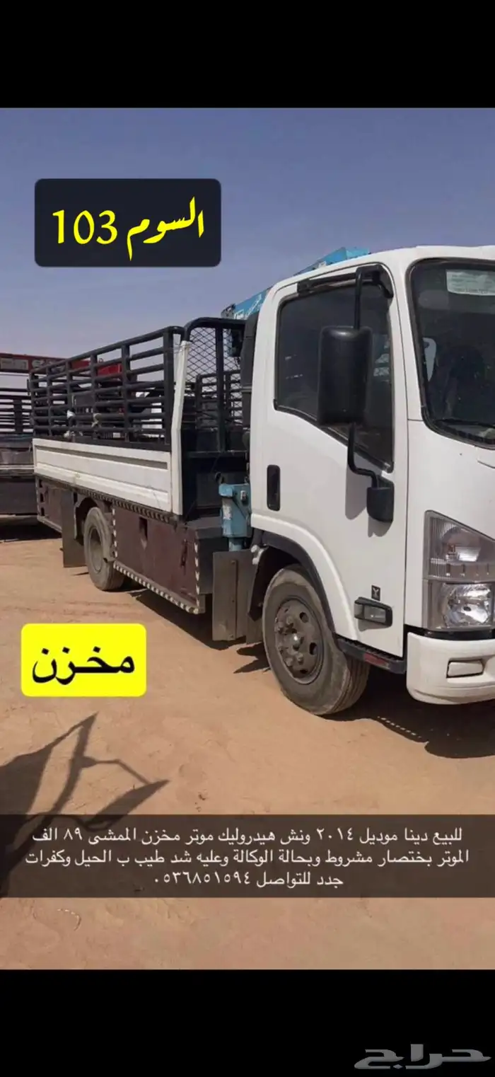 دينا ايسوزو ونش 0