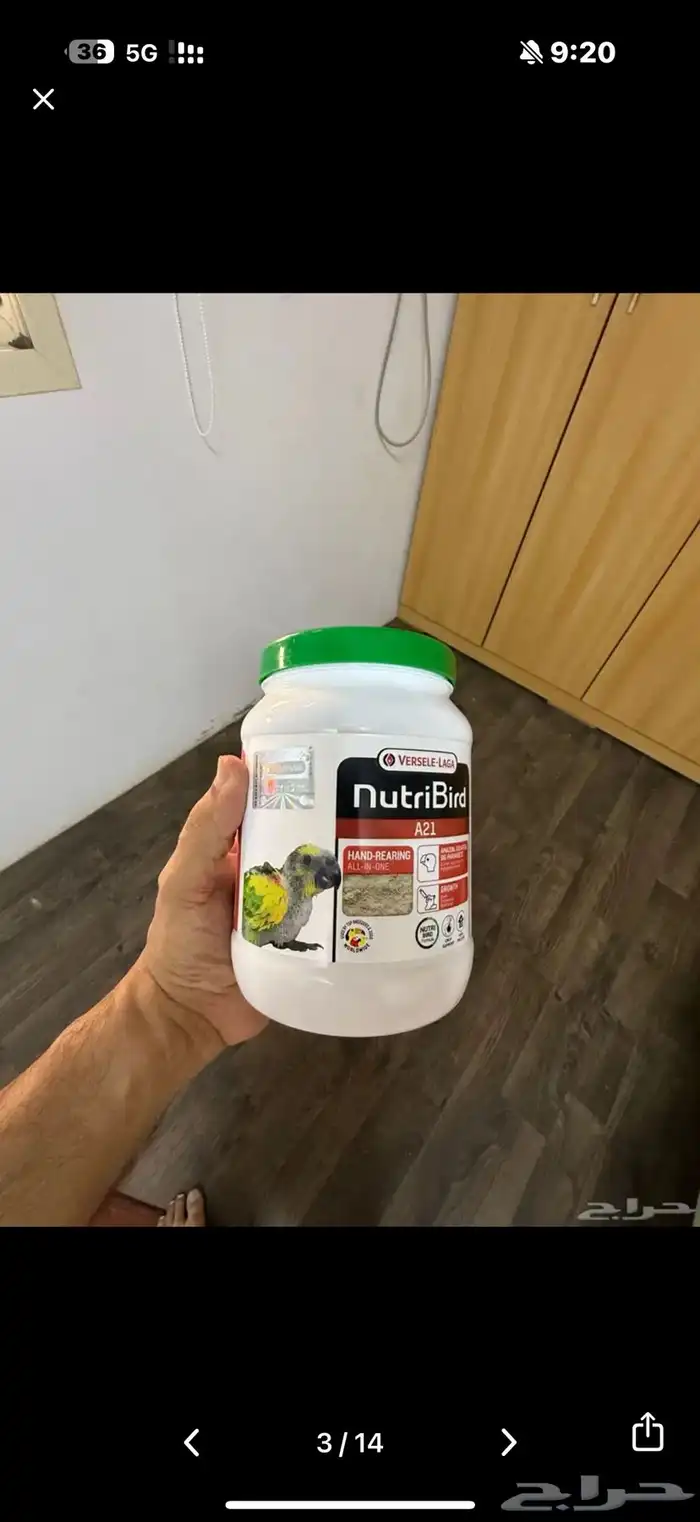 ازواج للبيع 11